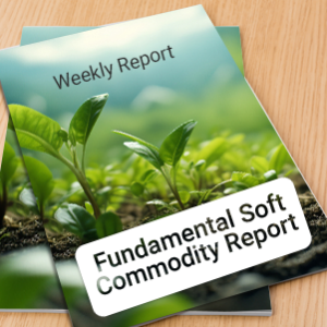 Fundamental Soft Commodity Report